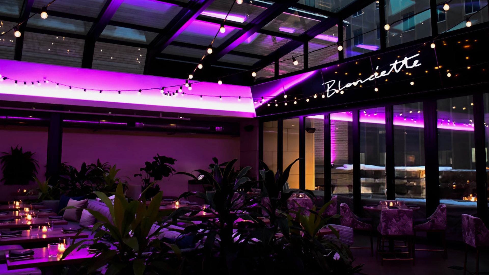 A Room With Purple Lighting And Plants